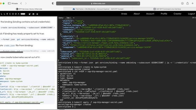 Consume SAP BTP services from Kubernetes cluster смотреть онлайн
