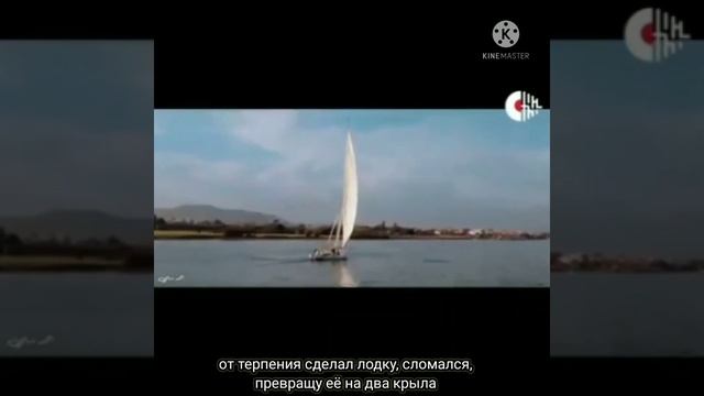 красивая арабская позитивная песня ♥️ смотреть онлайн