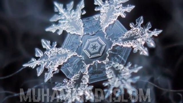 Шесть вещей входят в число обязанностей мусульман по отношению друг к другу- смотреть онлайн