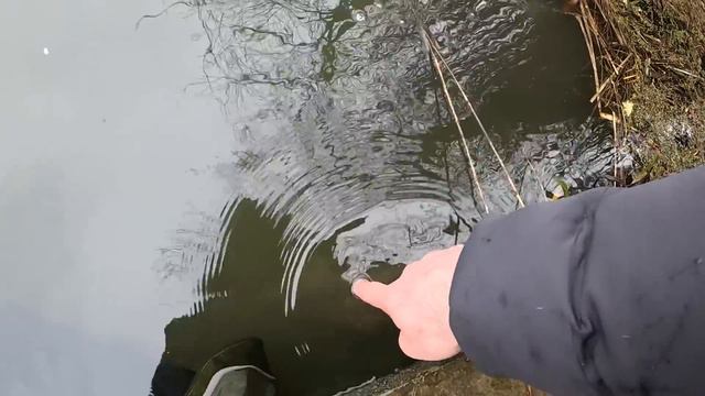 ŻYCIOWE SUMY! PIERWSZA NOCKA W SEZONIE NA ŁOWISKU OLEŚNIKOWA DOLINA! смотреть онлайн