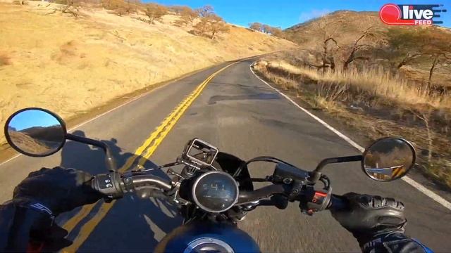 Honda Rebel 300 — Полный тест-драйв, разгон, фишки, все за и против | LiveFEED® смотреть онлайн