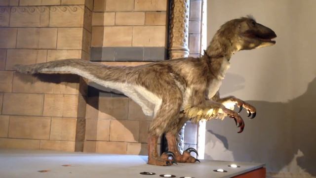 Музей природознавства, Лондон, динозавр2 смотреть онлайн