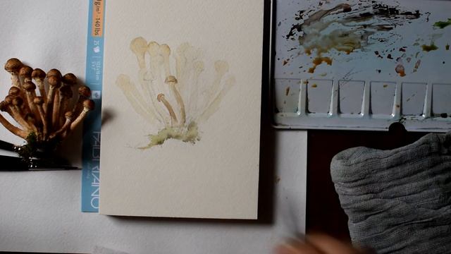 Рисуем грибы акварелью. Опята.