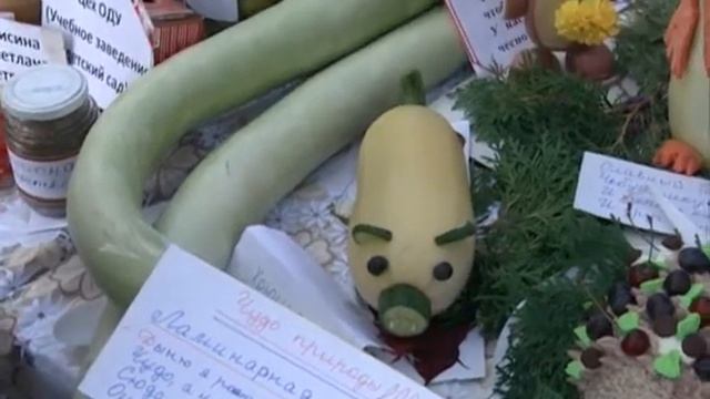 Ветераны Уральской Стали порадовали новыми рекордами на празднике урожая смотреть онлайн