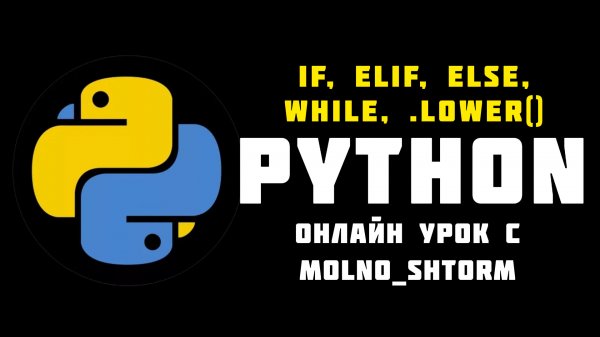 Official Video | MOLNO_SHTORM Games | ИЗУЧАЕМ КОМАНДЫ: IF, ELIF, ELSE, WHILE, .LOWER() ЯЗЫК: PYTHON