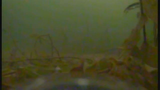 Камера для подледной рыбалки. Шарташ смотреть онлайн