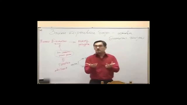 Как правильно питаться. Как научиться правильно питаться. Часть 1.