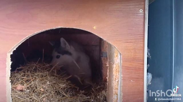 Хоть знать буду что будкой пользуются смотреть онлайн