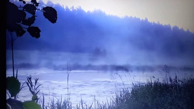 река,туман,звуки смотреть онлайн