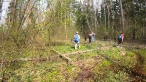 Запрудня - платформа 94 км 27.04.2019