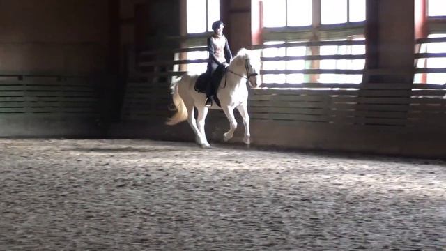 Velve 23 03 2022 смотреть онлайн