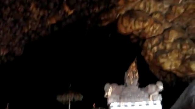 Летучие мыши Бали смотреть онлайн