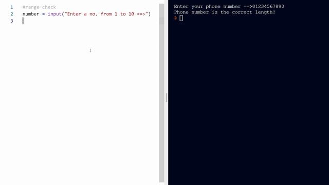 Python basics - Validation смотреть онлайн