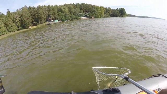 Рыбалка на Ижевском пруду смотреть онлайн