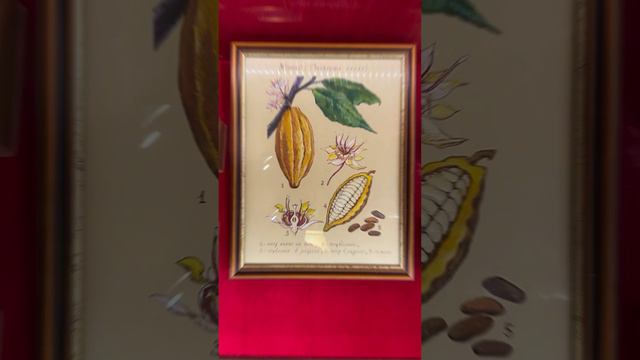 Покров. Музей шоколада 🍫 смотреть онлайн