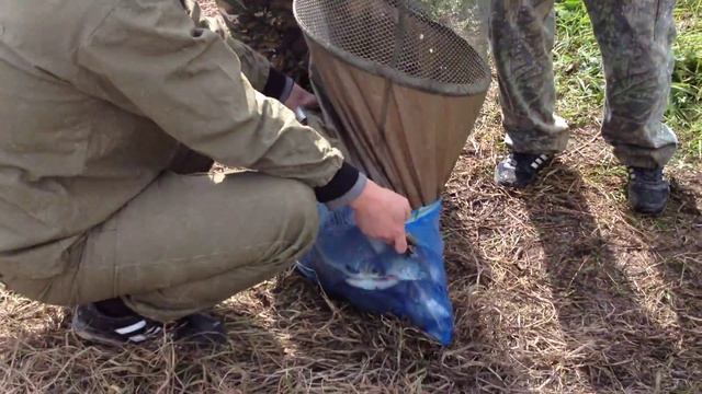 Тартас Новосибирская Область 22-24.08.15 Рыбалка на крупного карася и щуку Big carp смотреть онлайн