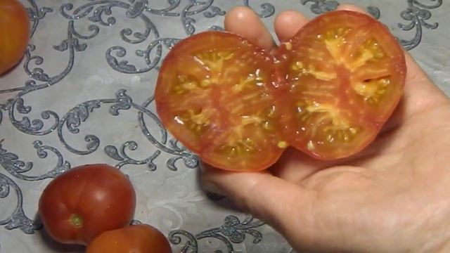 Томат Гордость Марины. Тест зрелых помидоров. смотреть онлайн