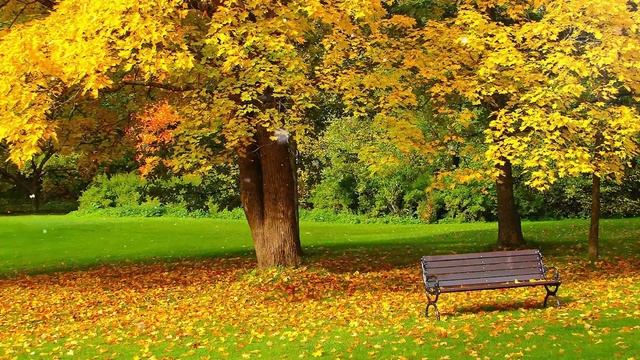 Божественная музыка трогает сердце! Хочу слушать вечно! Отличная музыка Сергей Грищук