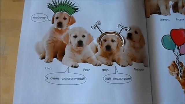 Книга для детей 3-6 лет серии "Банда пушистых модников" / Магазин Лабиринт /Обзор книги "Вечеринка" смотреть онлайн