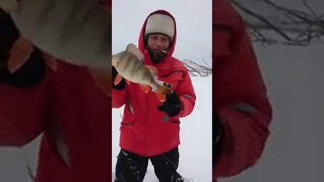 Рыбалка в Томской области смотреть онлайн