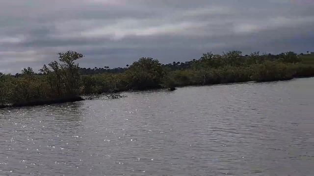 Flagler Beach, FL in Subaru WRX: VA to FL Episode 3 смотреть онлайн