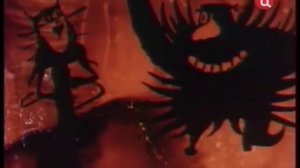 Песня кота и пирата