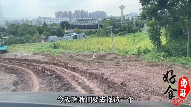 南京姐妹四个卖肥肠，每天8大锅年入上千万，一天800斤流水超8万生意太好！【好食勇哥】 смотреть онлайн