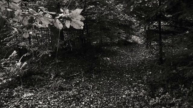 Heinrich Heine: Die Loreley смотреть онлайн