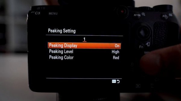Sony A7iii (Simple Focus Peaking Trick)