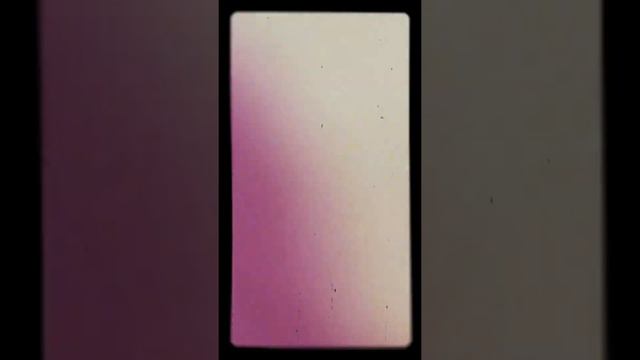 Мир Бумажек✨📒🌻|•Пятна Фиолетовые💜🐄Если твою подругу зовут Полина она должна тебе шоколадку Милку🐄💜🍫 смотреть онлайн