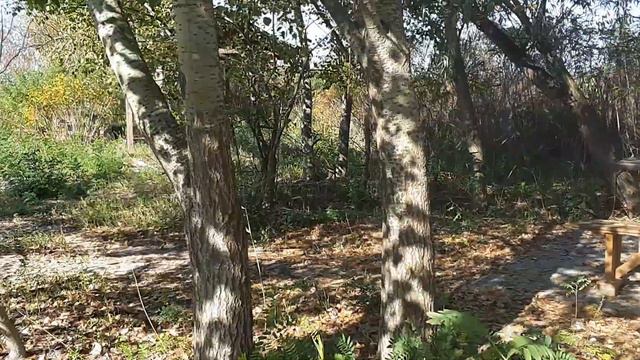 Рыбалка  с.Збурьевка в октябре