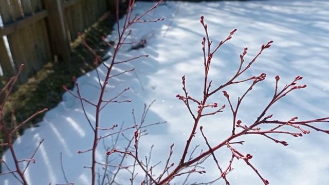 Вязка арматуры. Укрепление фундамента. Дом в деревне. смотреть онлайн
