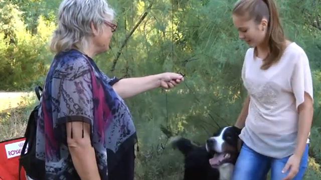 Клуб Шико 20.09 смотреть онлайн