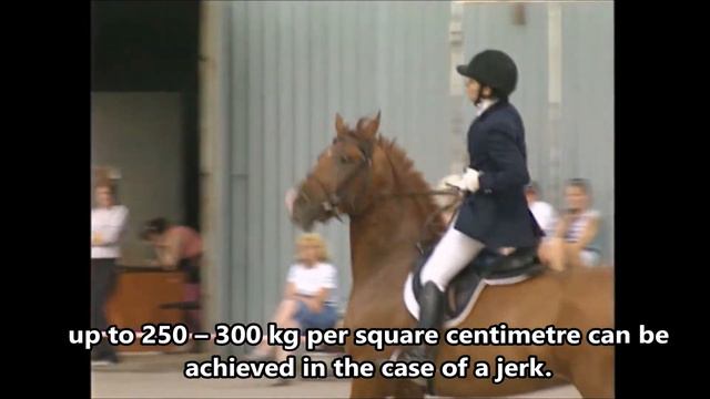 Forensic Medical Examination About BITS (ENG Subtitles, RUS Voice)