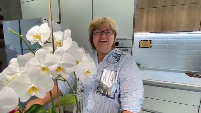Дневник. День 36. С днём рождения мой любимый сын Костя ❤️ смотреть онлайн