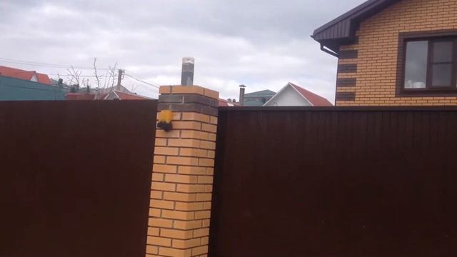 Откатные ворота смотреть онлайн