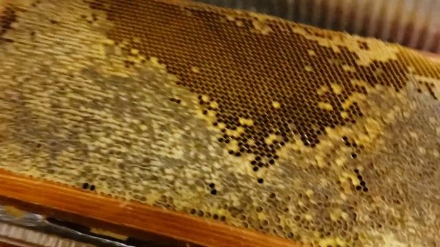 Пришла идея что делать с прошлогодним мёдом