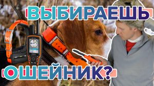 Что нужно знать начинающему охотнику, при покупке собачьего ошейника Garmin