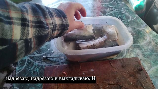 Сибирский технадзор