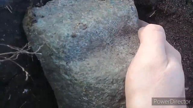 Бронзовая чушка! смотреть онлайн