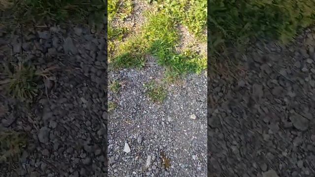 Startování MF 70 смотреть онлайн