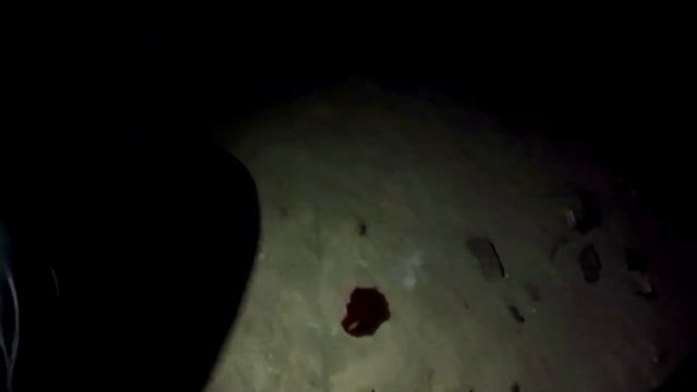 ТОП 5 Побегов от Маньяков смотреть онлайн