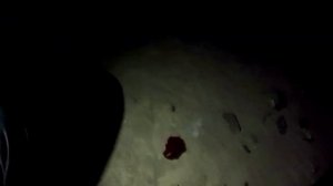 ТОП 5 Побегов от Маньяков