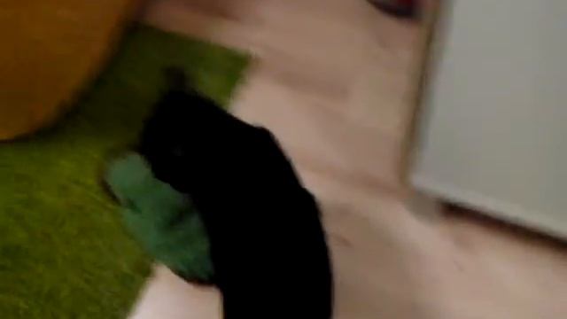 Агрессия смотреть онлайн