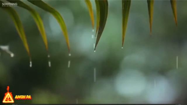 Yomg'ir Tovushlari. Uyqu Uchun Yomg'ir Ovozi. Tinchlantiruvchi Tovushlar