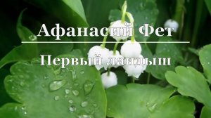 Афанасий Фет - Первый ландыш