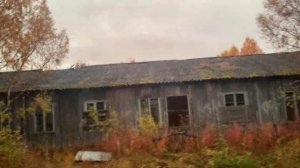 Лиинахамари / 4К