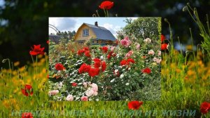 📌НЕЗВАНЫЕ ГОСТИ 🟥Невыдуманные истории  из жизни🟥Аудиорассказ🟥Истории из жизни