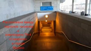 Станция метро Девяткино. Интересные факты.