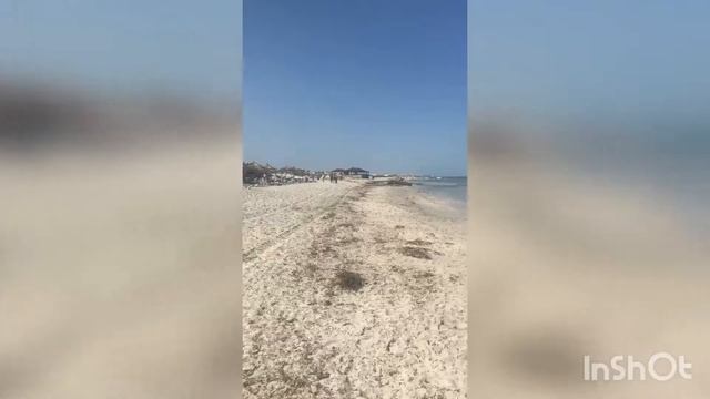 Отдых/Тунис/Джерба смотреть онлайн